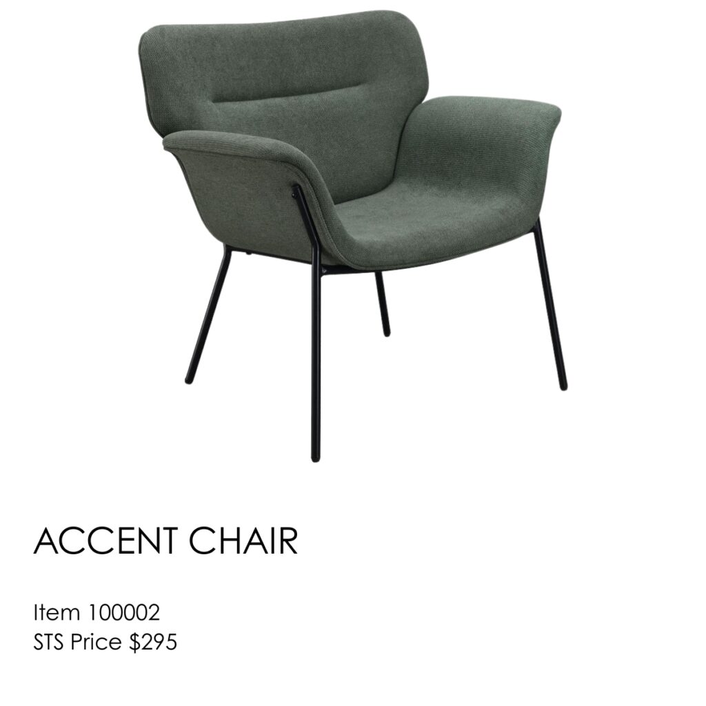 Accent Chair 100002
