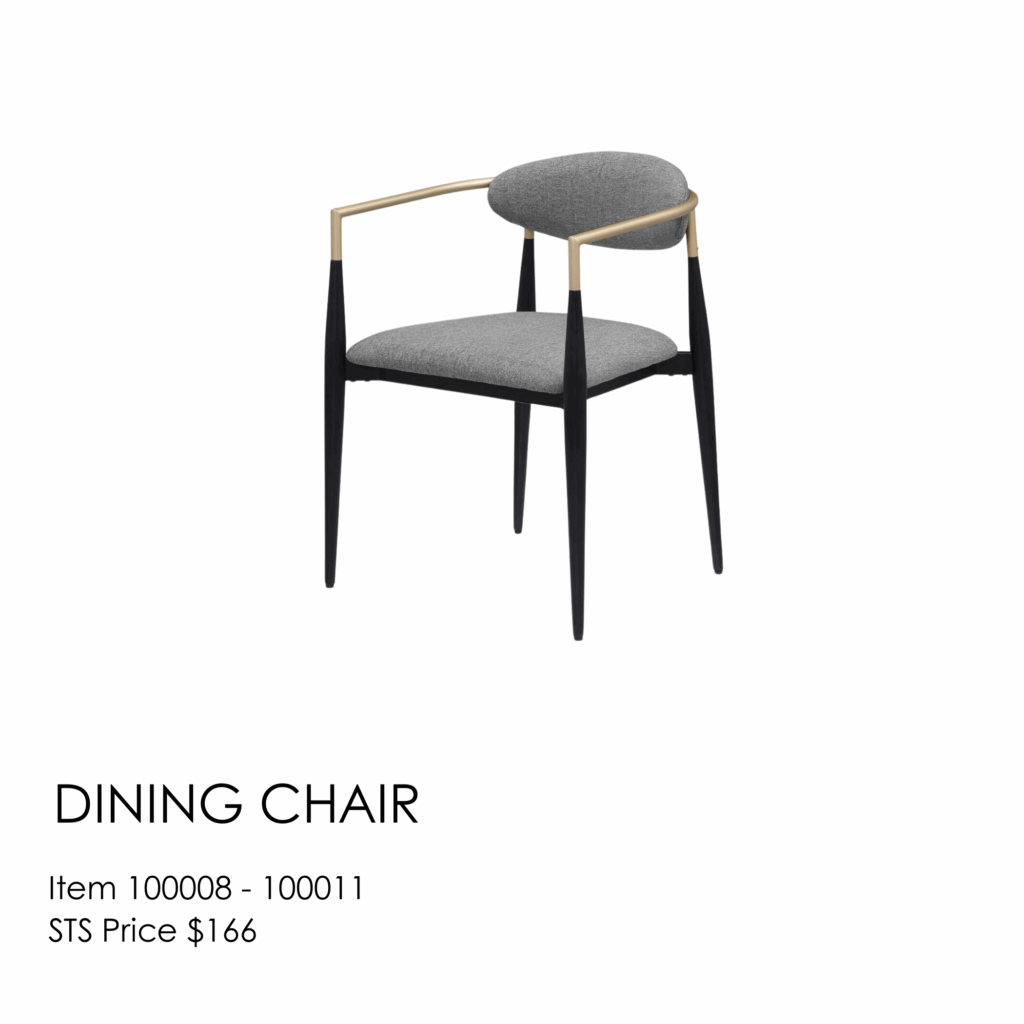 Dining Chair 100011